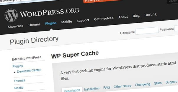 plugin cache wordpress