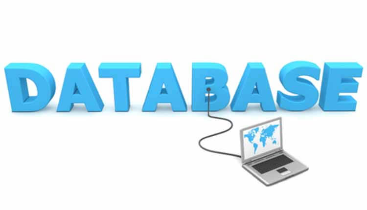 apa itu bisnis database