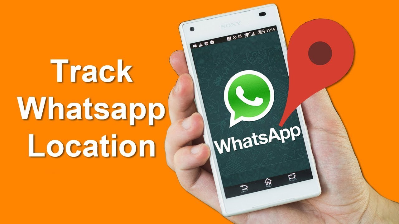 cara mengetahui lokasi pengguna whatsapp