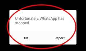cara mengatasi whatsapp error