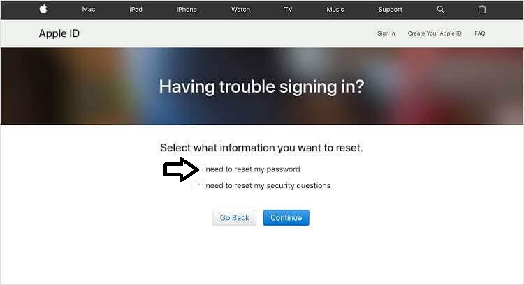 i need to reset my apple password icloud