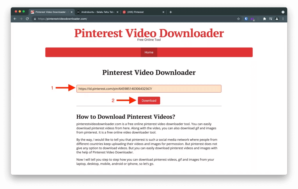 web pinterest video download