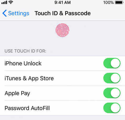 touch id dan passcode