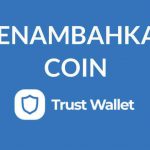 cara menambahkan token baru di trust wallet