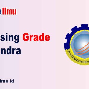 Passing Grade Polindra - Dewailmu.id