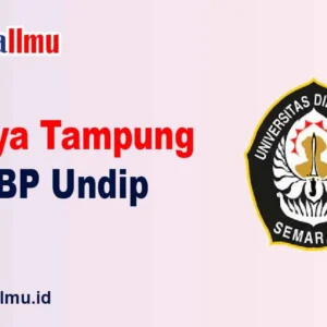 daya tampung snbp undip